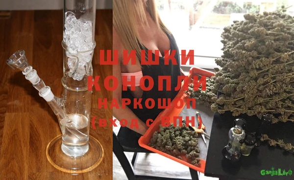 мет Протвино