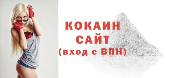 мет Протвино